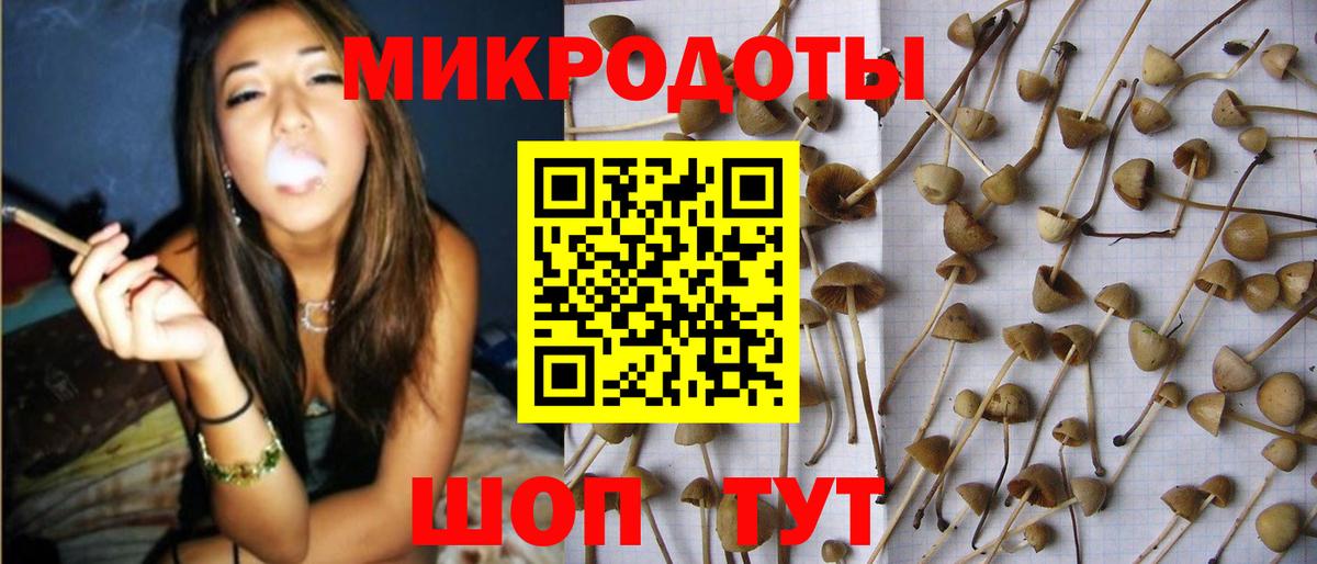 Щёлково  Псилоцибиновые грибы MAGIC MUSHROOMS  Галлюциногенные грибы Psilocybine cubensis  Вход с VPN 
